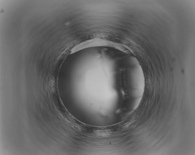 X0000073700556200608311732