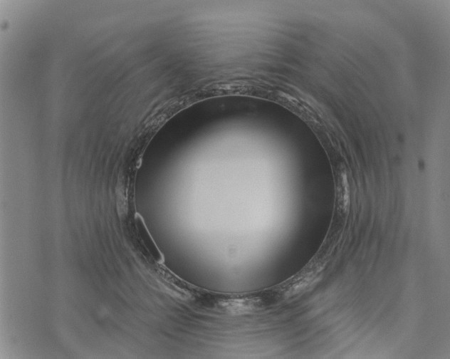 X0000073700558200608311732