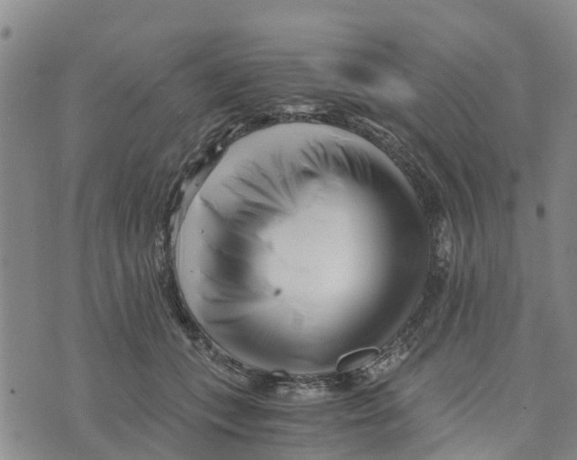 X0000073700559200608311732