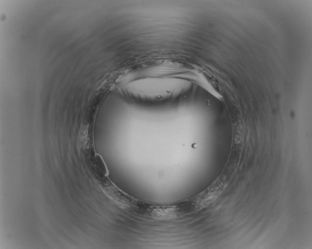 X0000073700560200608311732