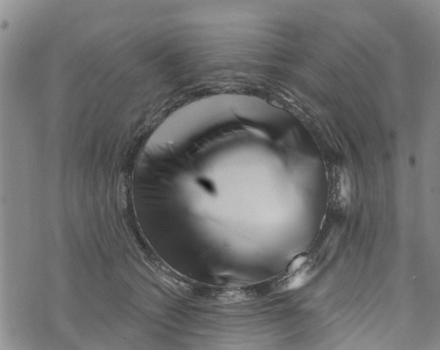 X0000073700562200608311732