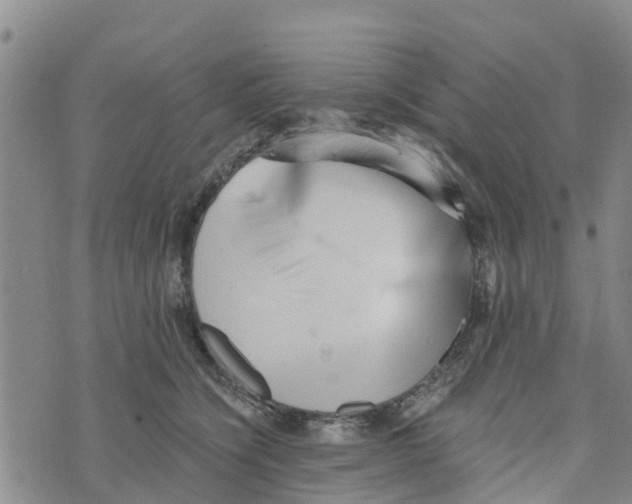 X0000073700564200608311732