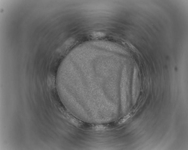 X0000073700565200608311732