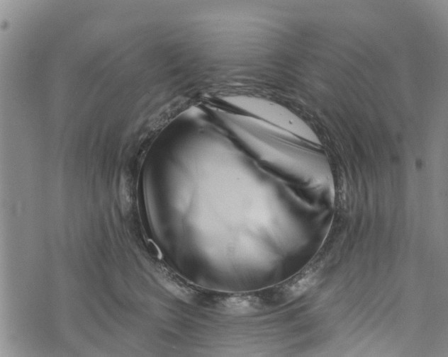 X0000073700566200608311732