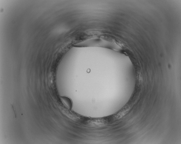 X0000073700567200608311732