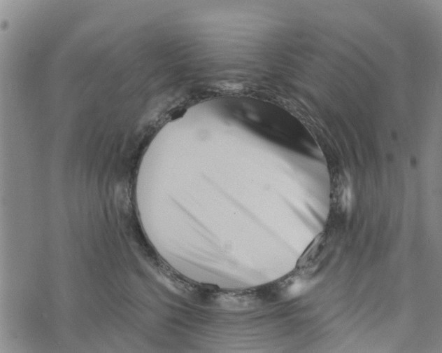 X0000073700568200608311732