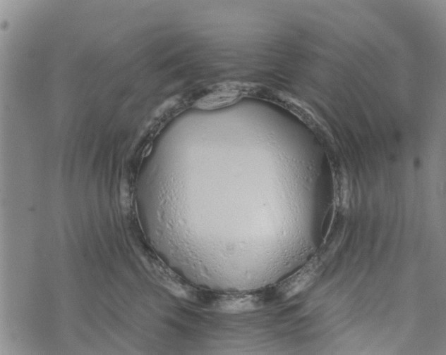 X0000073700569200608311732