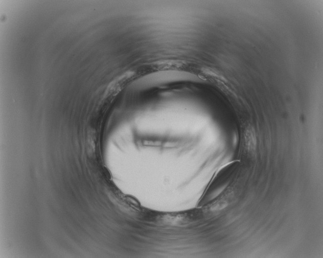 X0000073700570200608311733