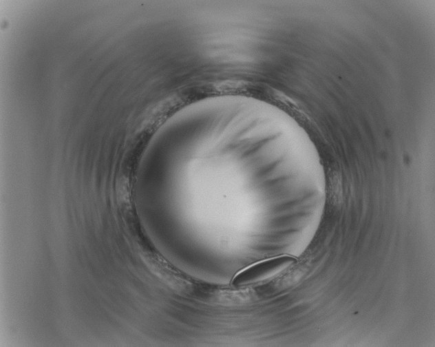 X0000073700571200608311733