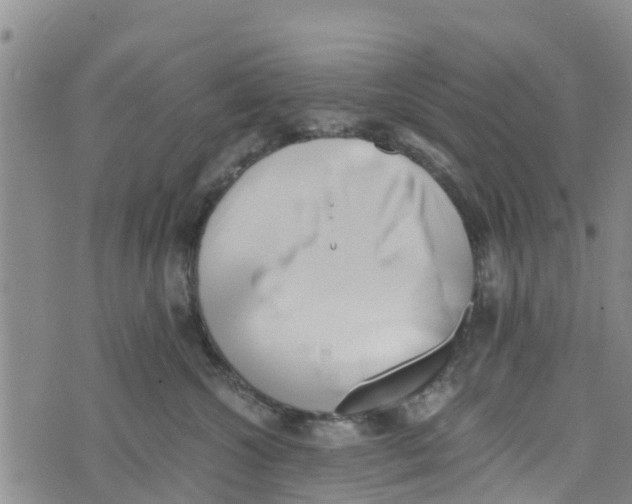 X0000073700572200608311733