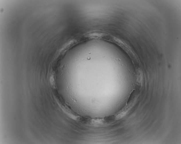 X0000073700573200608311733