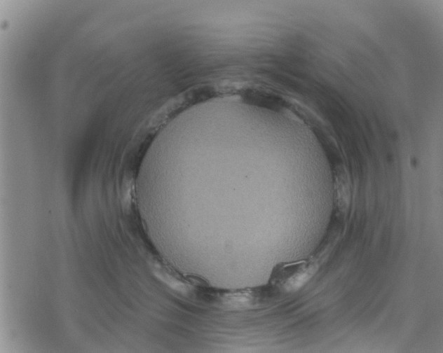 X0000073700574200608311733