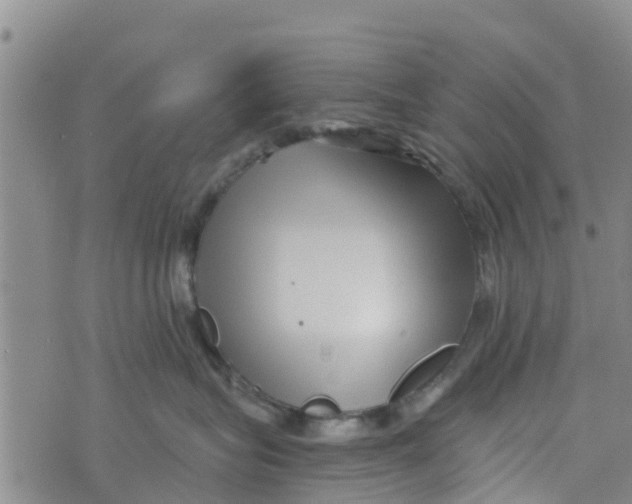 X0000073700575200608311733