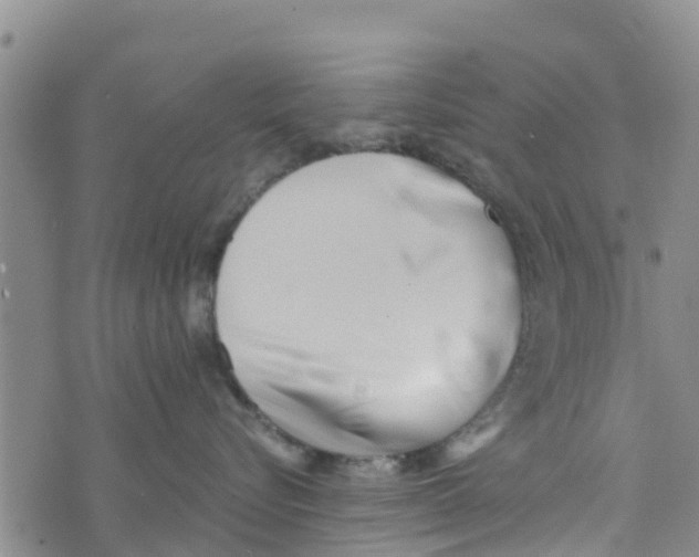 X0000073700576200608311733