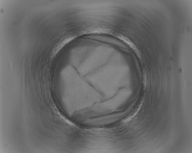 X0000073700577200608311732