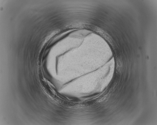 X0000073700578200608311732