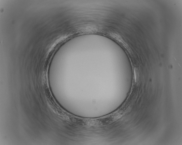 X0000073700579200608311732