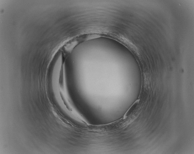 X0000073700580200608311732