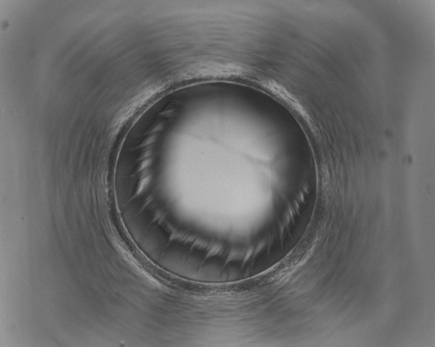 X0000073700581200608311732