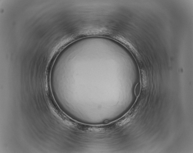 X0000073700582200608311732