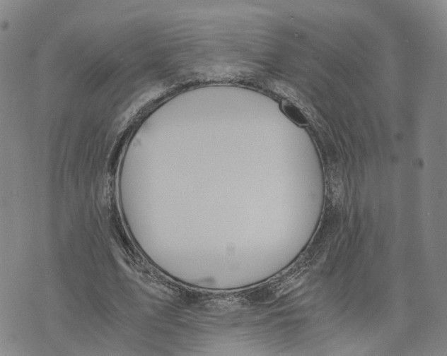 X0000073700583200608311732