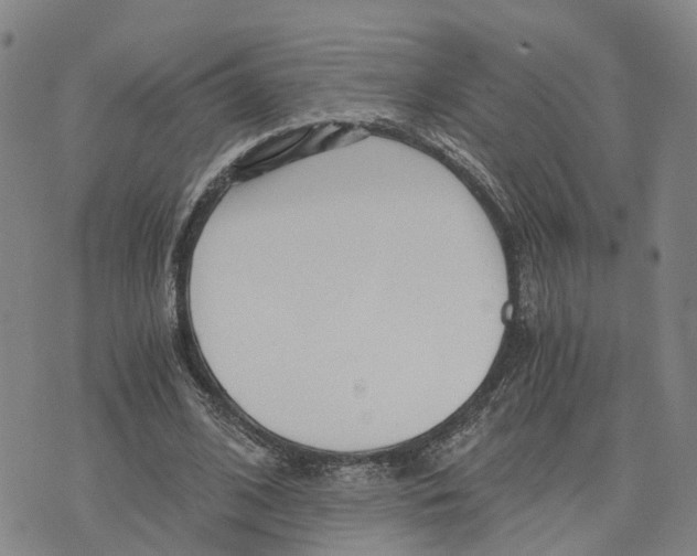 X0000073700584200608311732