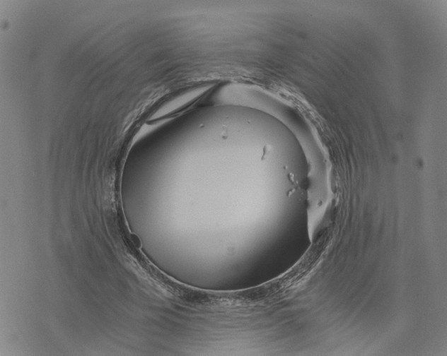 X0000073700585200608311732