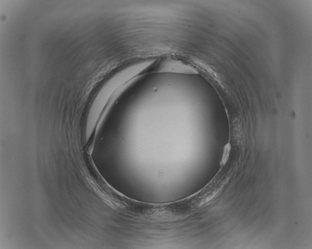 X0000073700589200608311732