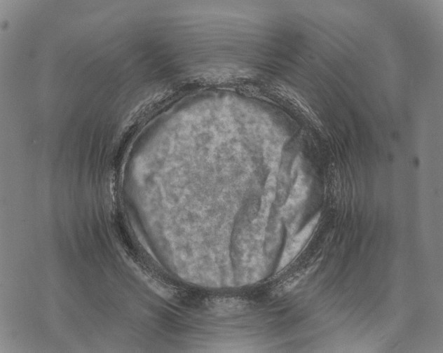 X0000073700590200608311732