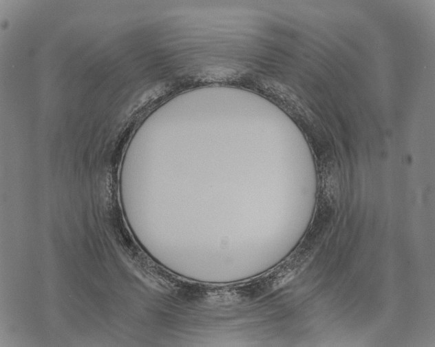 X0000073700591200608311732