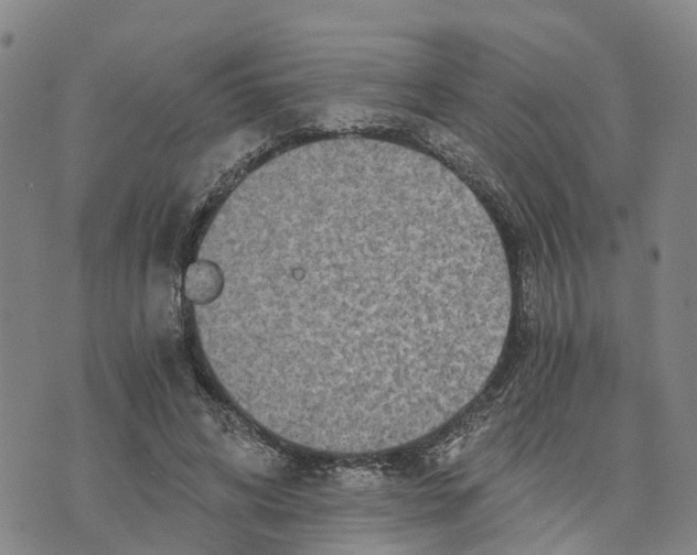 X0000073700592200608311732