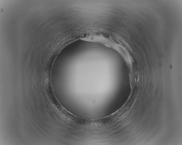 X0000073700593200608311732