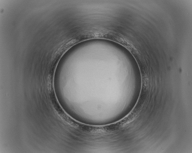 X0000073700594200608311732