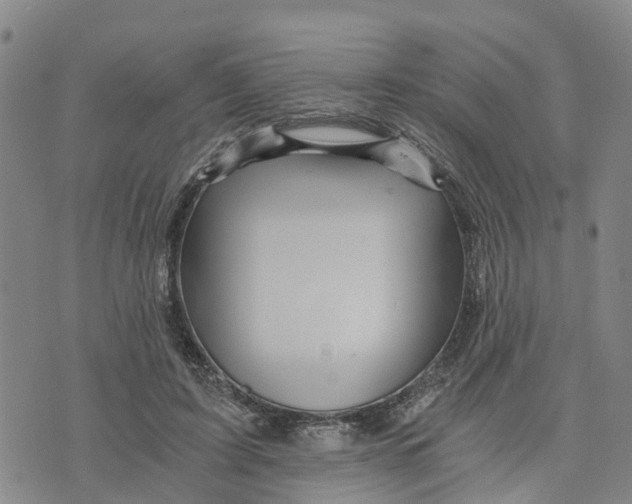 X0000073700595200608311732