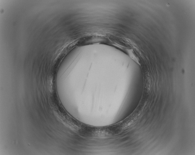 X0000073700596200608311732