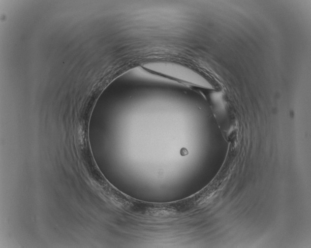 X0000073700597200608311732