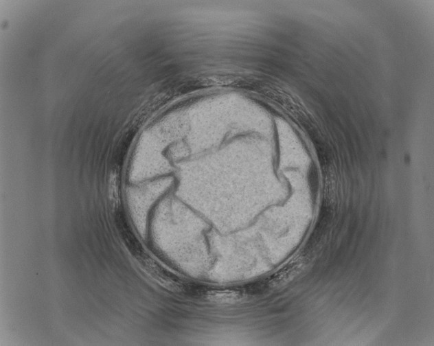 X0000073700598200608311731