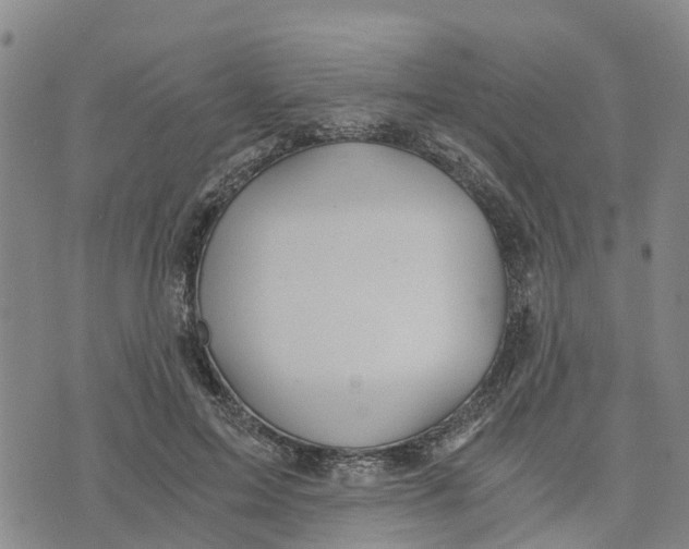 X0000073700599200608311731