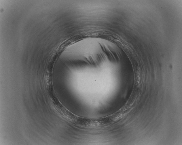 X0000073700600200608311731