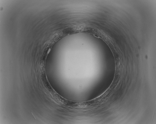 X0000073700601200608311731