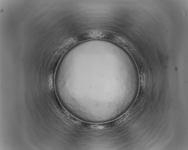 X0000073700602200608311731