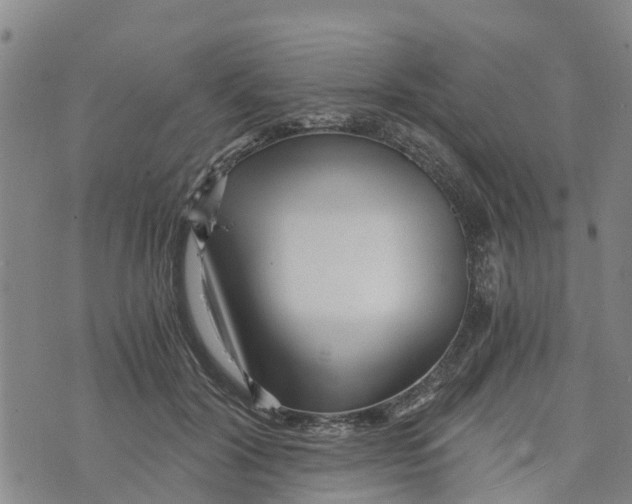 X0000073700604200608311731