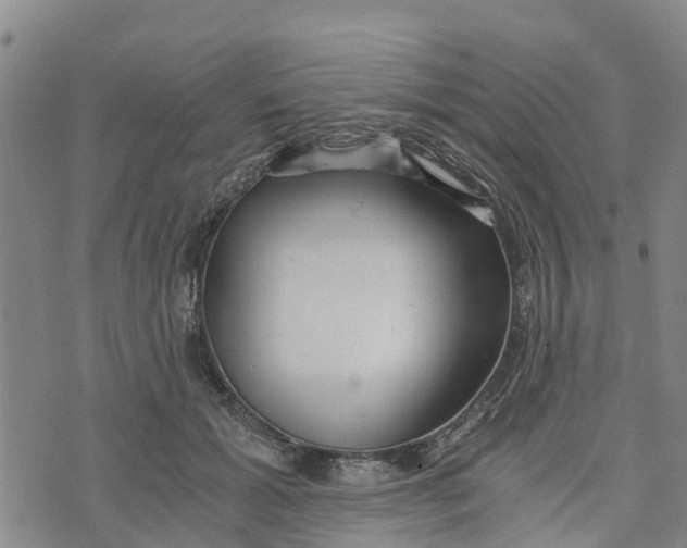 X0000073700605200608311731