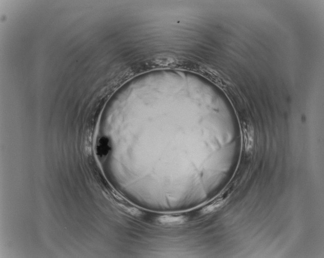 X0000073700606200608311731