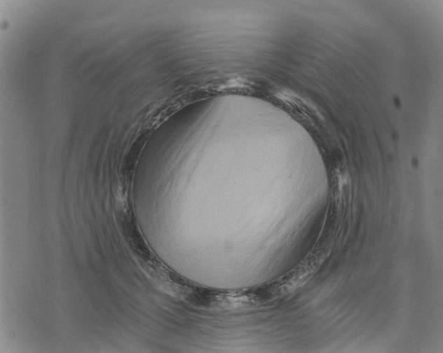 X0000073700607200608311731