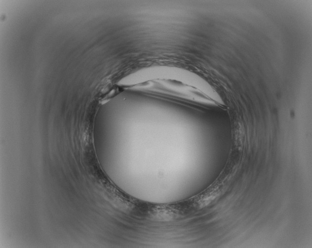 X0000073700608200608311731