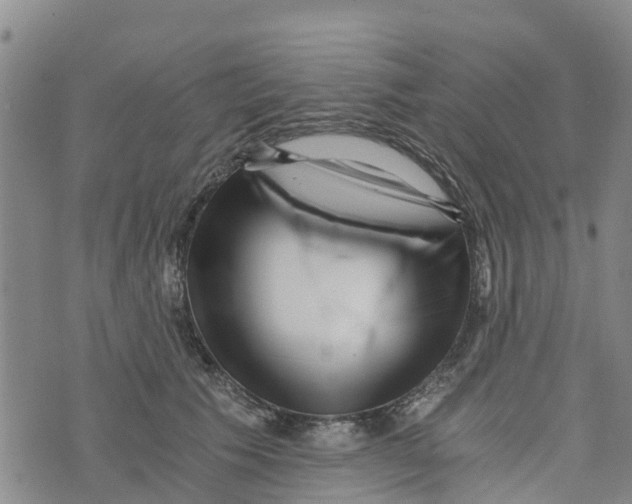 X0000073700609200608311731