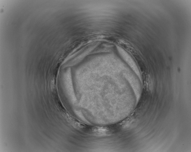 X0000073700610200608311731