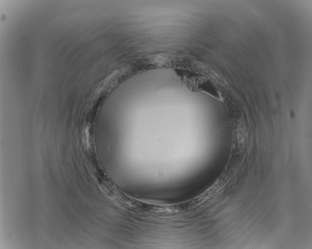 X0000073700611200608311731