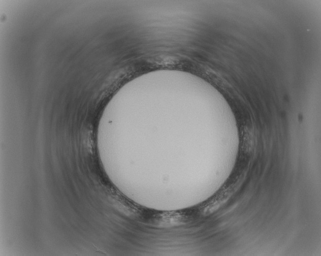 X0000073700612200608311731